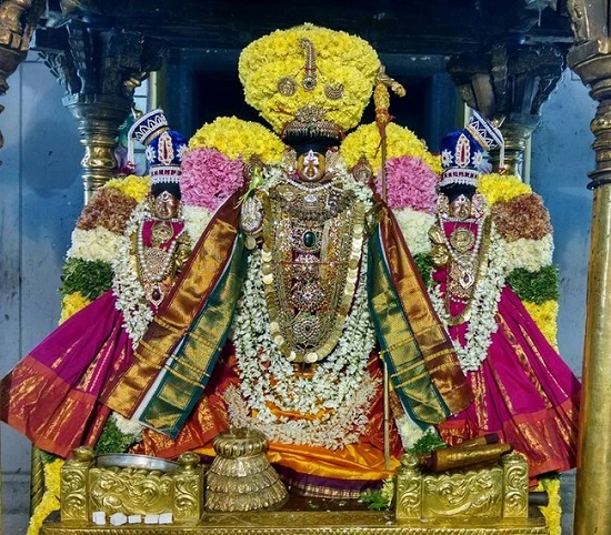 Thiruvahindrapuram Sri Devanathan Perumal Temple Irappathu Utsavam19