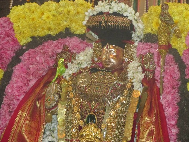 Thiruvahindrapuram Sri Devanathan Perumal Temple Irappathu Utsavam4