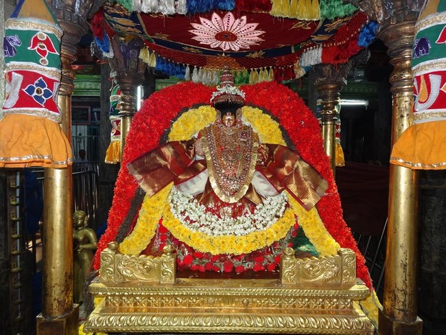 Thiruvahindrapuram Sri Devanathan Perumal Temple Irappathu Utsavam5