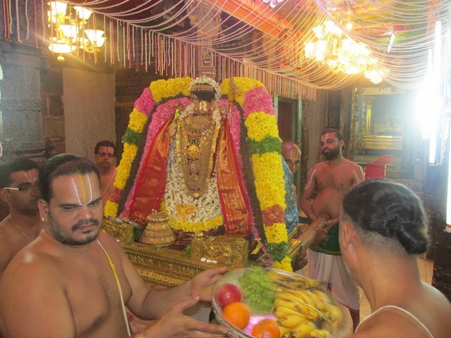 Thiruvahindrapuram Sri Devanathan Perumal Temple Irappathu Utsavam8