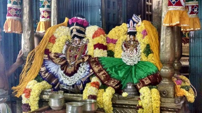 Thiruvahindrapuram Sri Devanathan Perumal Temple Kanu Utsavam1