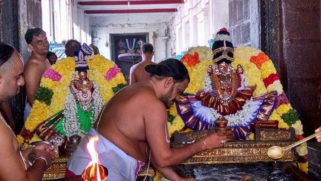 Thiruvahindrapuram Sri Devanathan Perumal Temple Kanu Utsavam2