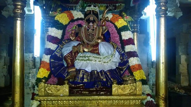 Thiruvahindrapuram Sri Devanathan Perumal Temple Pagal Pathu Satrumurai10