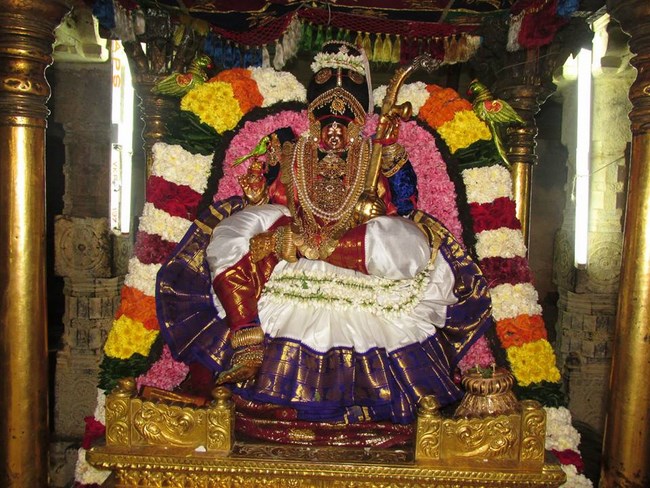 Thiruvahindrapuram Sri Devanathan Perumal Temple Pagal Pathu Satrumurai11