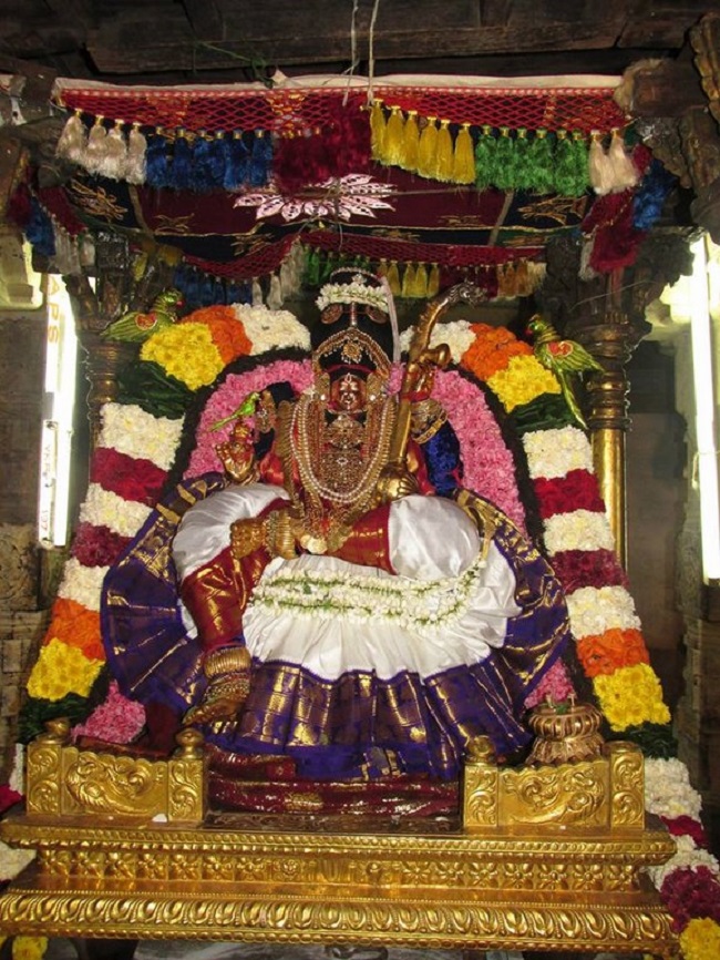 Thiruvahindrapuram Sri Devanathan Perumal Temple Pagal Pathu Satrumurai4