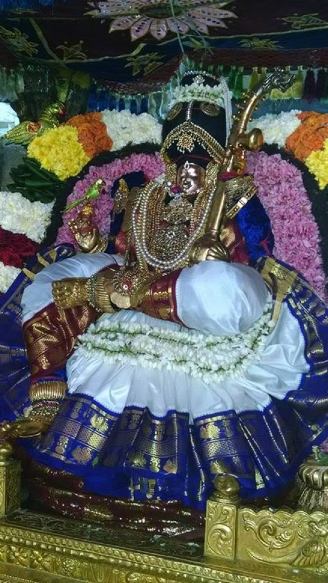 Thiruvahindrapuram Sri Devanathan Perumal Temple Pagal Pathu Satrumurai5