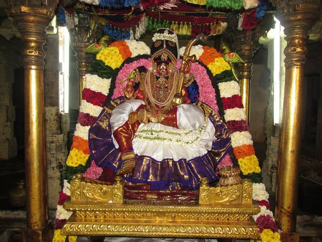 Thiruvahindrapuram Sri Devanathan Perumal Temple Pagal Pathu Satrumurai6