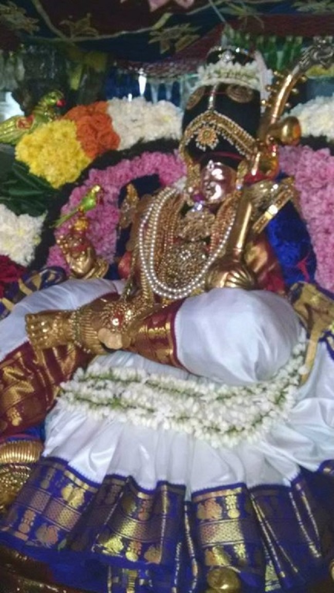 Thiruvahindrapuram Sri Devanathan Perumal Temple Pagal Pathu Satrumurai8