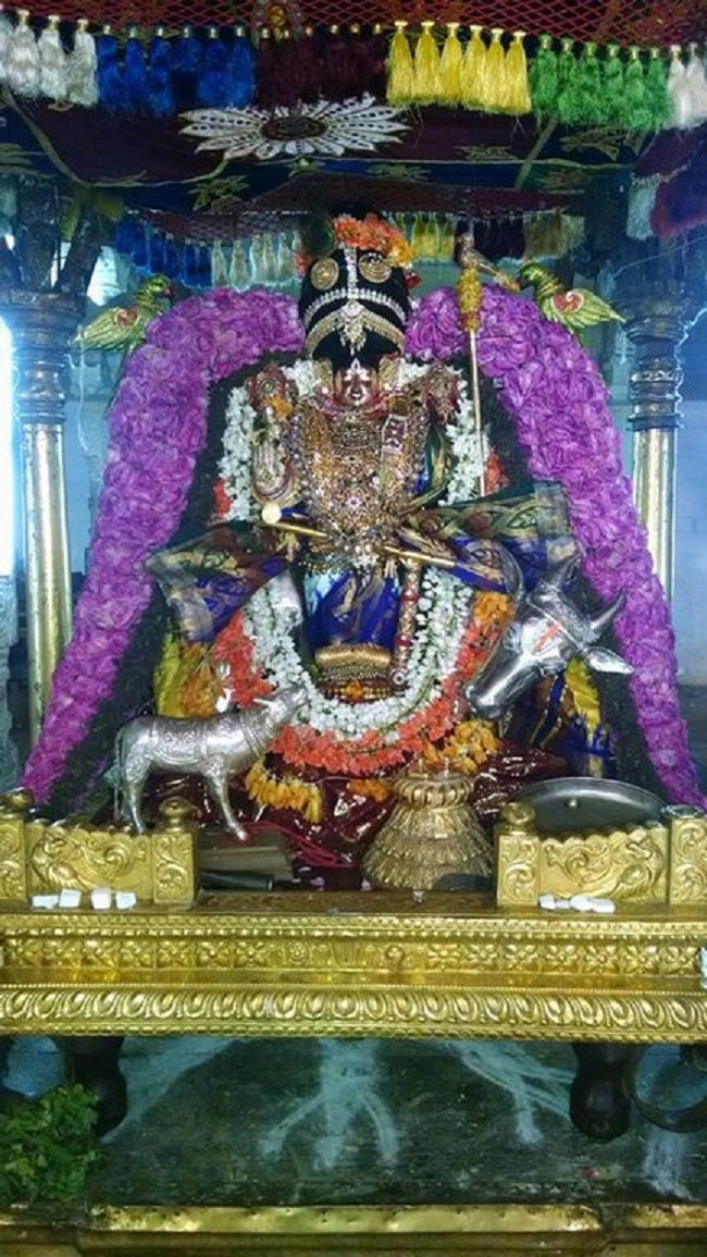 Thiruvahindrapuram Sri Devanathan Perumal Temple Pagal Pathu Utsavam 10