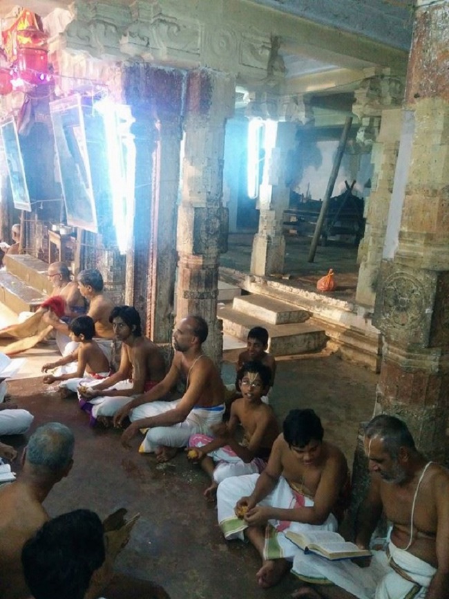 Thiruvahindrapuram Sri Devanathan Perumal Temple Pagal Pathu Utsavam 1