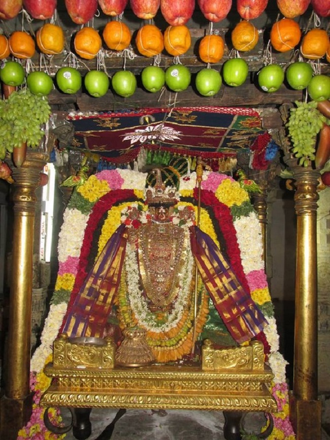 Thiruvahindrapuram Sri Devanathan Perumal Temple Pagal Pathu Utsavam 12