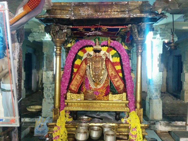 Thiruvahindrapuram Sri Devanathan Perumal Temple Pagal Pathu Utsavam 14