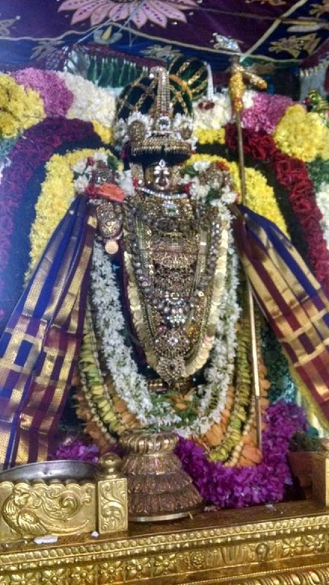Thiruvahindrapuram Sri Devanathan Perumal Temple Pagal Pathu Utsavam 18