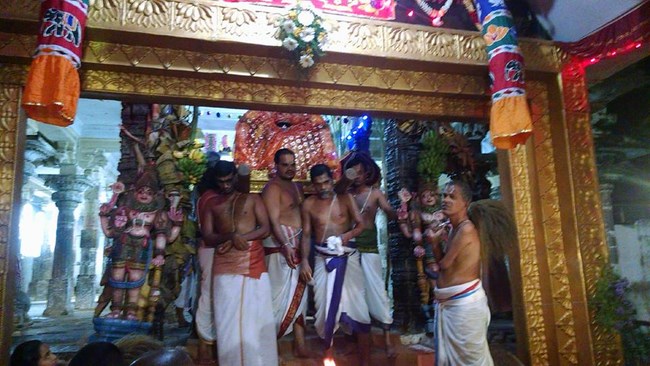 Thiruvahindrapuram Sri Devanathan Perumal Temple Pagal Pathu Utsavam 24