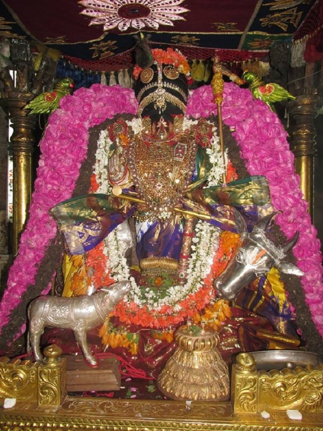 Thiruvahindrapuram Sri Devanathan Perumal Temple Pagal Pathu Utsavam 3