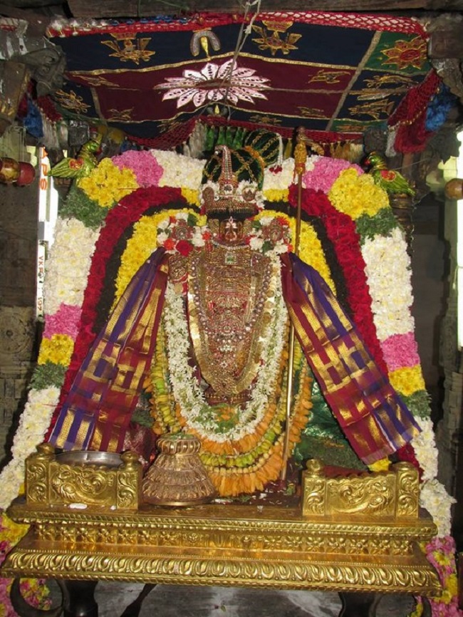 Thiruvahindrapuram Sri Devanathan Perumal Temple Pagal Pathu Utsavam 3