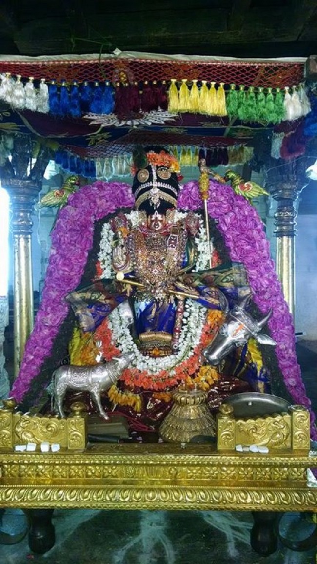 Thiruvahindrapuram Sri Devanathan Perumal Temple Pagal Pathu Utsavam 5