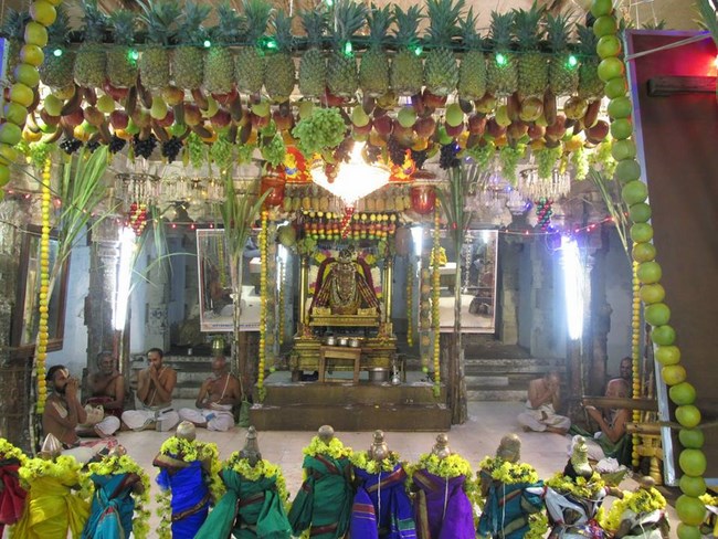 Thiruvahindrapuram Sri Devanathan Perumal Temple Pagal Pathu Utsavam 5