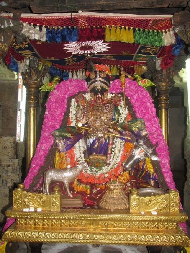Thiruvahindrapuram Sri Devanathan Perumal Temple Pagal Pathu Utsavam 6