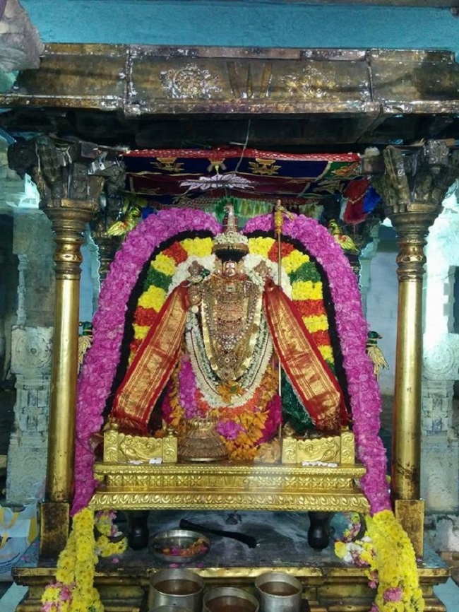 Thiruvahindrapuram Sri Devanathan Perumal Temple Pagal Pathu Utsavam 7