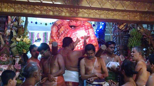Thiruvahindrapuram Sri Devanathan Perumal Temple Pagal Pathu Utsavam 7