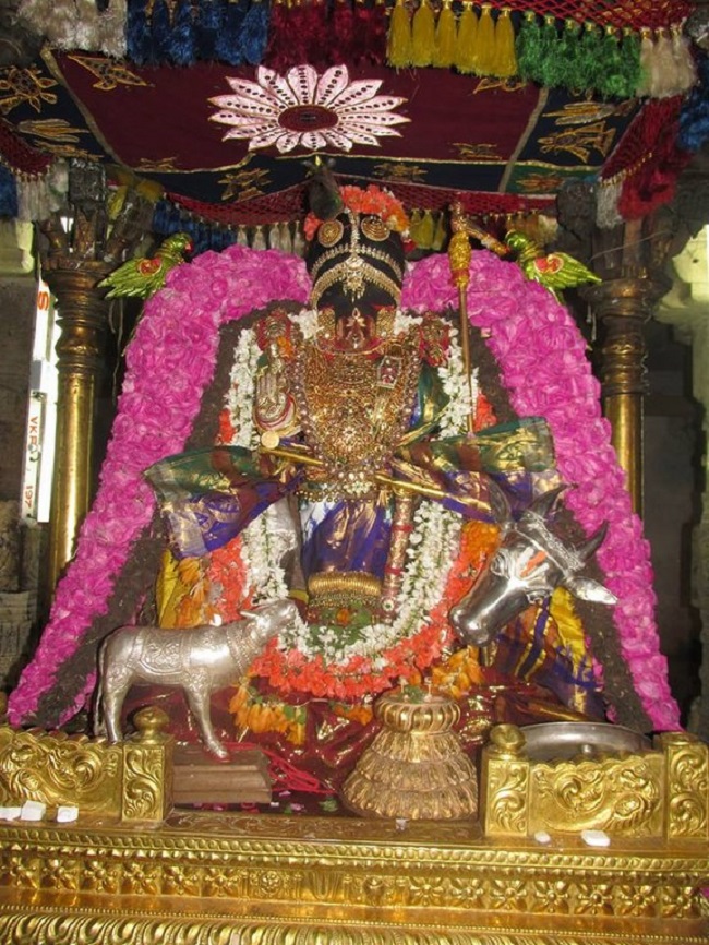 Thiruvahindrapuram Sri Devanathan Perumal Temple Pagal Pathu Utsavam 8