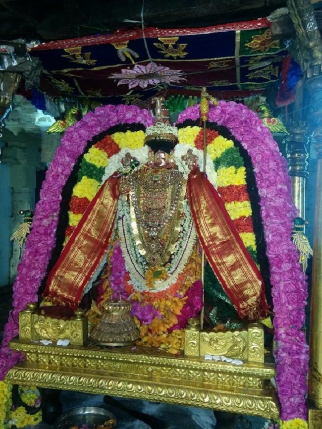Thiruvahindrapuram Sri Devanathan Perumal Temple Pagal Pathu Utsavam 9
