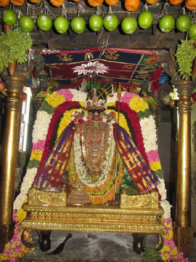 Thiruvahindrapuram Sri Devanathan Perumal Temple Pagal Pathu Utsavam 9