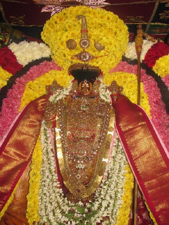 Thiruvahindrapuram Sri Devanathan Perumal Temple Pagal Pathu Utsavam9