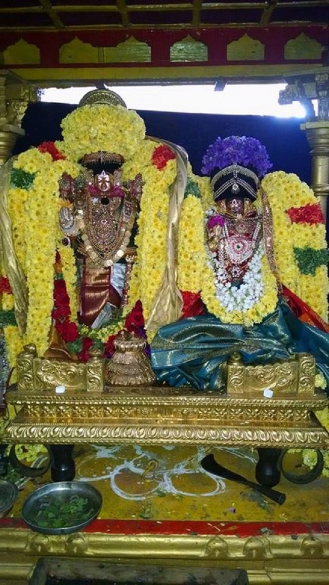 Thiruvahindrapuram Sri Devanathan Perumal Temple Sri Andal Thirukalyana Utsavam13