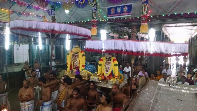 Thiruvahindrapuram Sri Devanathan Perumal Temple Sri Andal Thirukalyana Utsavam15