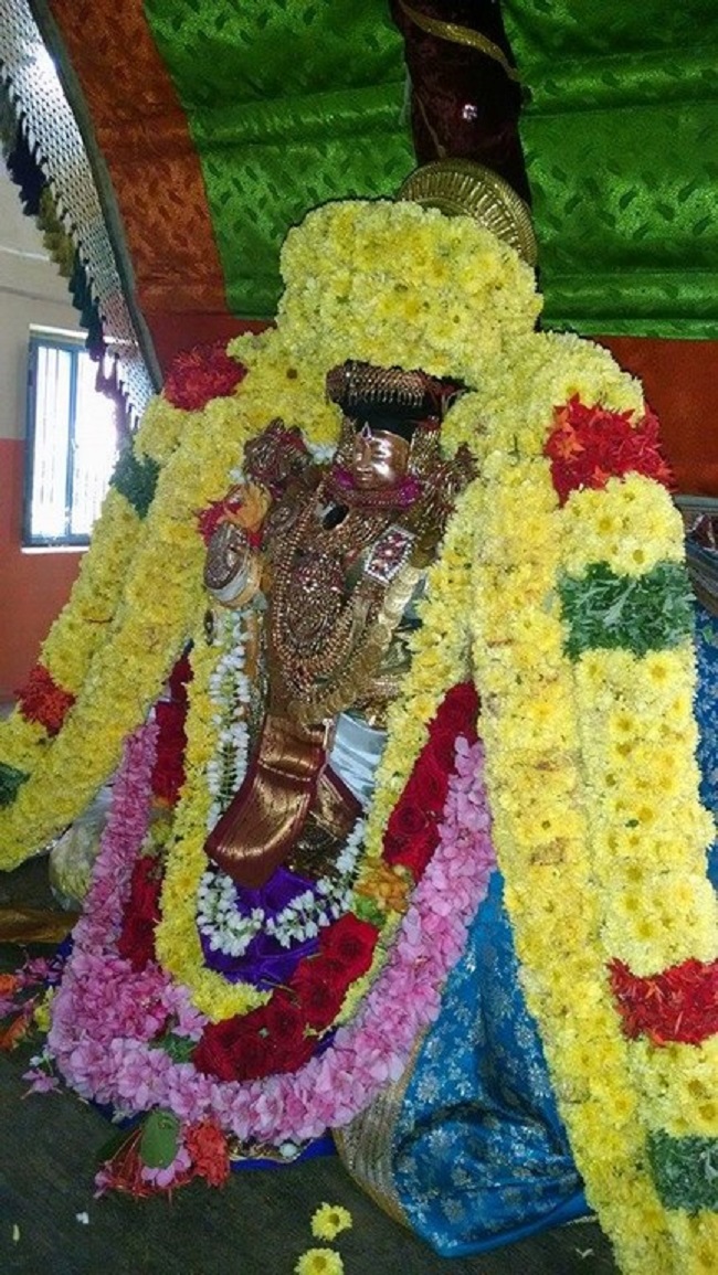Thiruvahindrapuram Sri Devanathan Perumal Temple Sri Andal Thirukalyana Utsavam16
