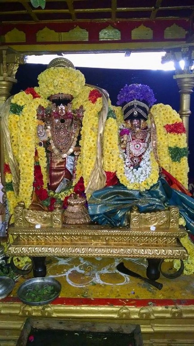 Thiruvahindrapuram Sri Devanathan Perumal Temple Sri Andal Thirukalyana Utsavam4