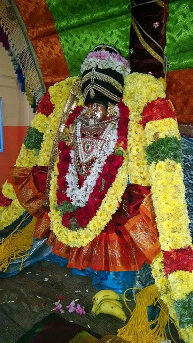 Thiruvahindrapuram Sri Devanathan Perumal Temple Sri Andal Thirukalyana Utsavam6