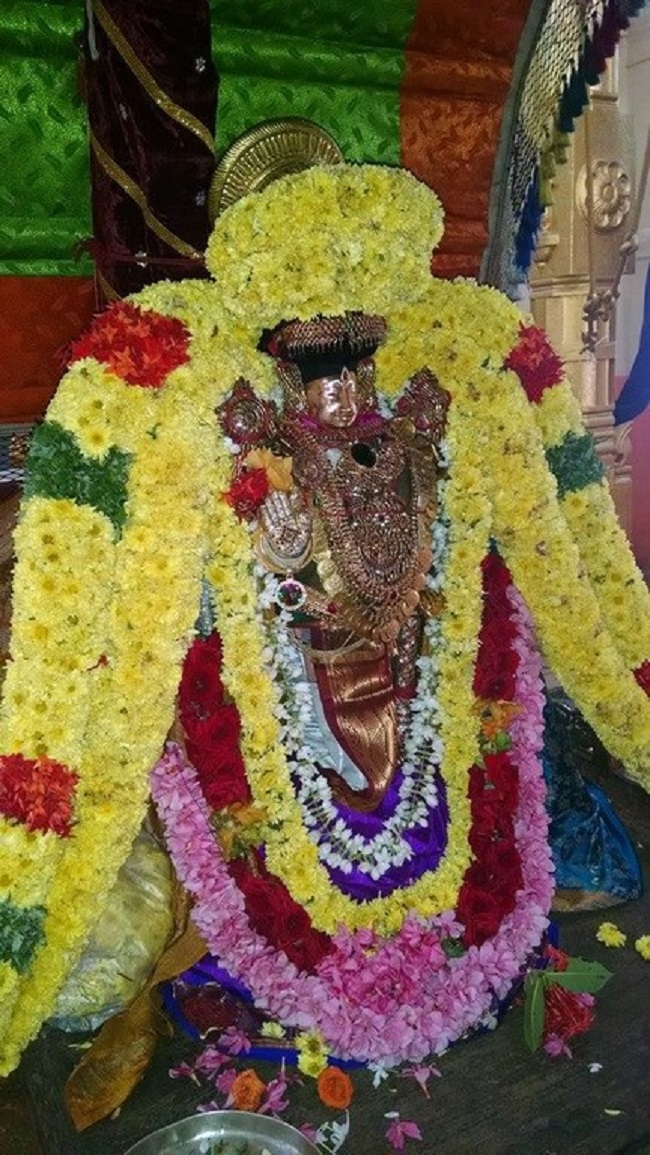 Thiruvahindrapuram Sri Devanathan Perumal Temple Sri Andal Thirukalyana Utsavam7