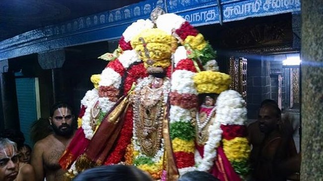 Thiruvahindrapuram Sri Devanathan Perumal Temple Vaikunda Ekadasi Utsavam13