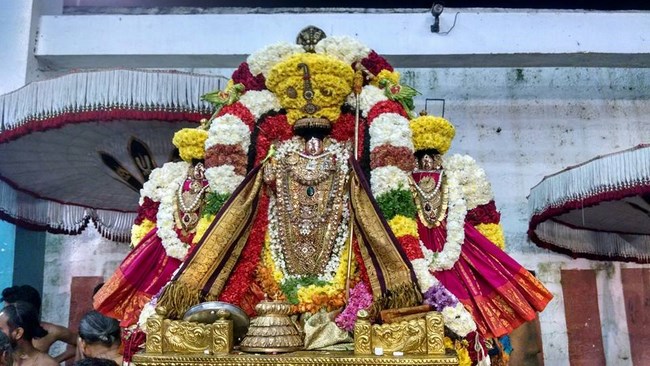 Thiruvahindrapuram Sri Devanathan Perumal Temple Vaikunda Ekadasi Utsavam4