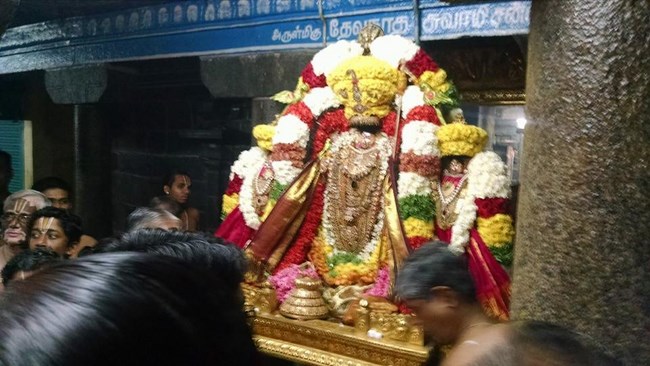 Thiruvahindrapuram Sri Devanathan Perumal Temple Vaikunda Ekadasi Utsavam7