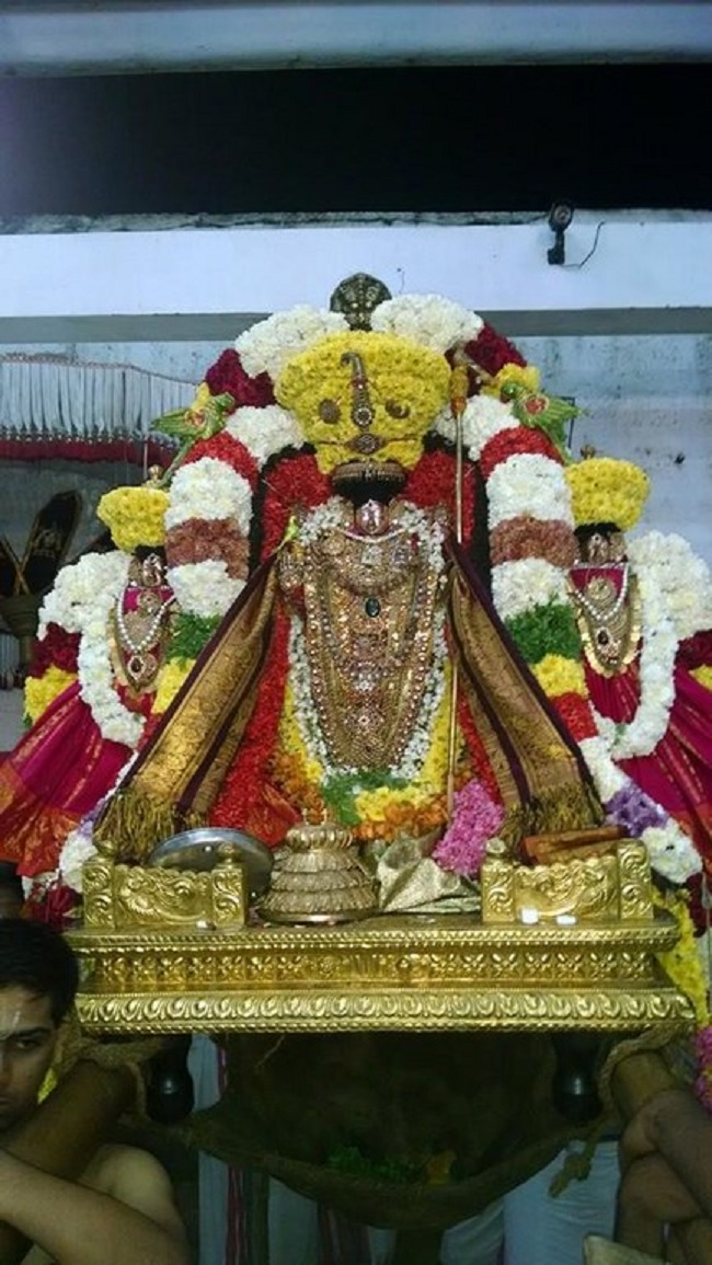 Thiruvahindrapuram Sri Devanathan Perumal Temple Vaikunda Ekadasi Utsavam8