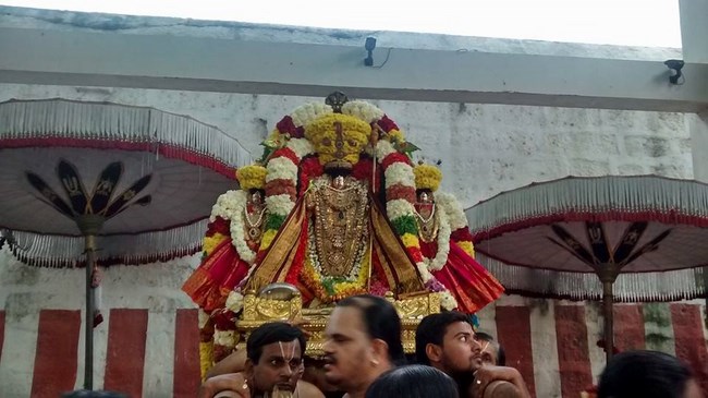Thiruvahindrapuram Sri Devanathan Perumal Temple Vaikunda Ekadasi Utsavam9