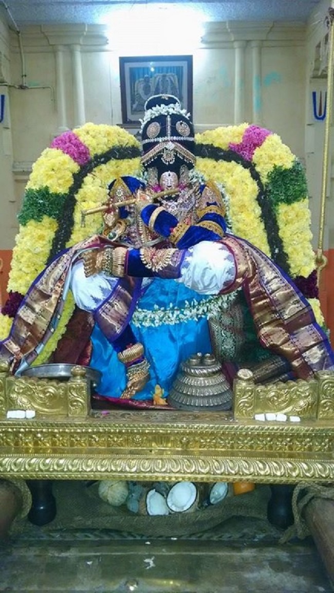 Thiruvahindrapuram Sri Devanathan Perumal Thai Sravana Purappadu1