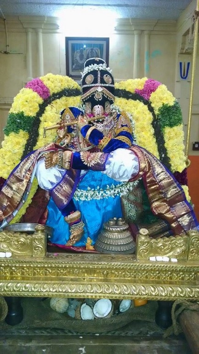 Thiruvahindrapuram Sri Devanathan Perumal Thai Sravana Purappadu2