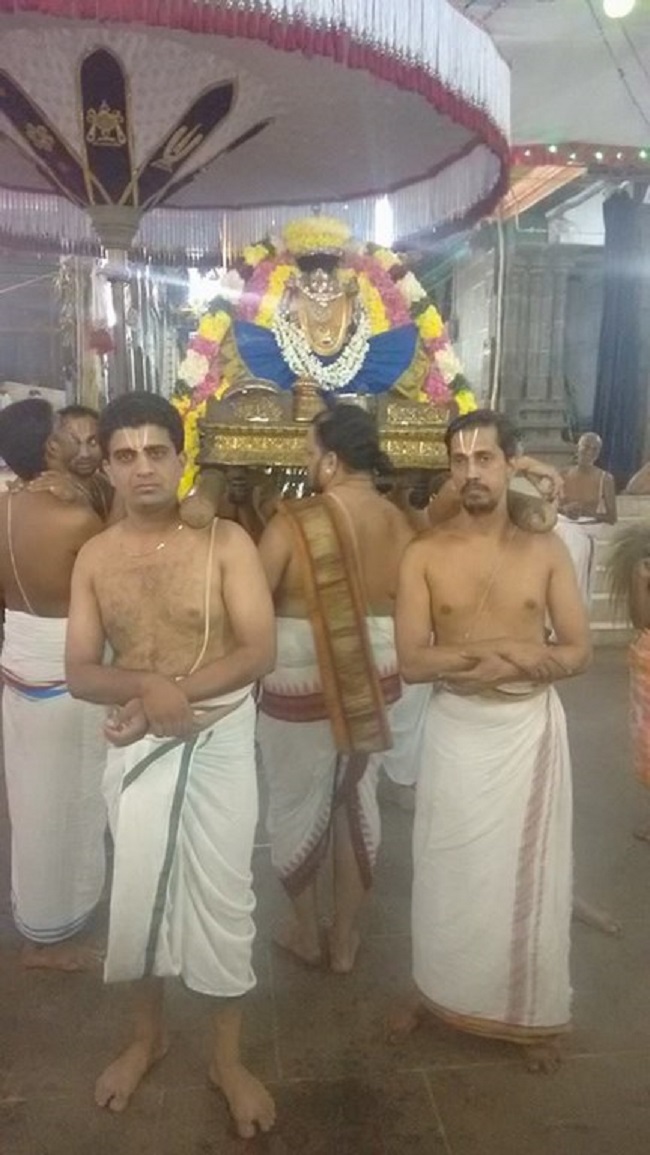 Thiruvahindrapuram Sri Hemabujavalli Thayar Thiruadhyayana Utsavam10