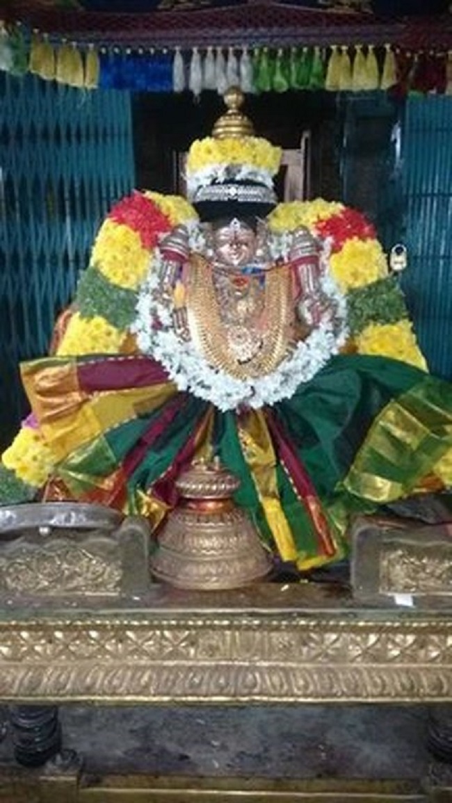 Thiruvahindrapuram Sri Hemabujavalli Thayar Thiruadhyayana Utsavam1