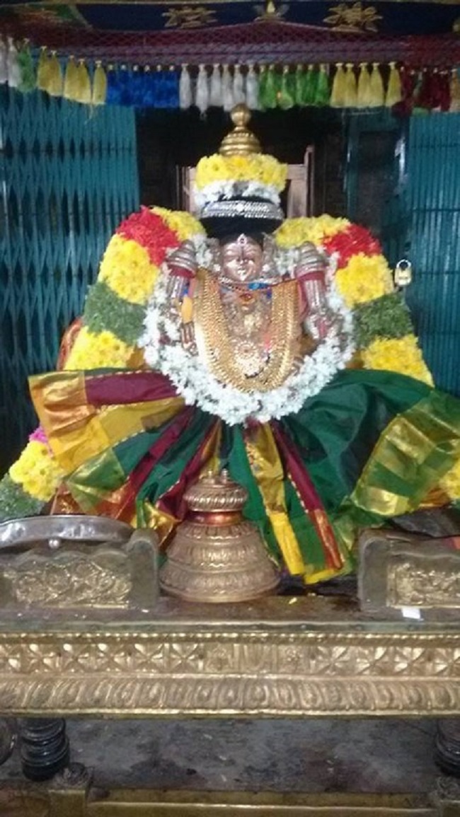 Thiruvahindrapuram Sri Hemabujavalli Thayar Thiruadhyayana Utsavam2