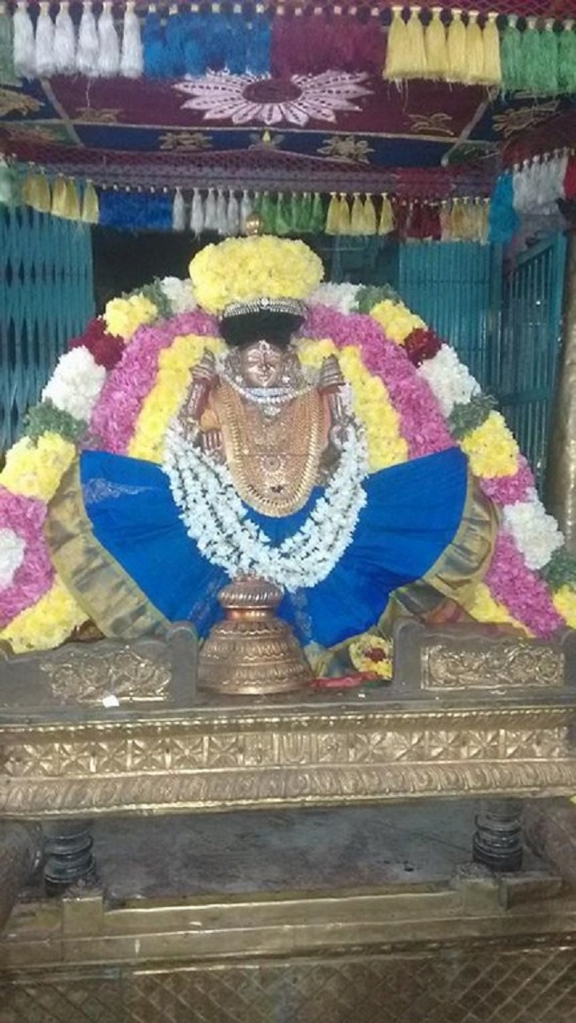 Thiruvahindrapuram Sri Hemabujavalli Thayar Thiruadhyayana Utsavam3