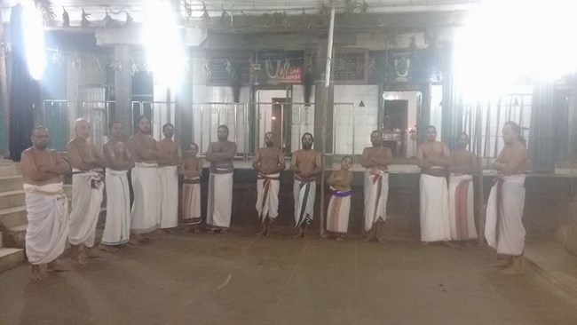 Thiruvahindrapuram Sri Hemabujavalli Thayar Thiruadhyayana Utsavam4
