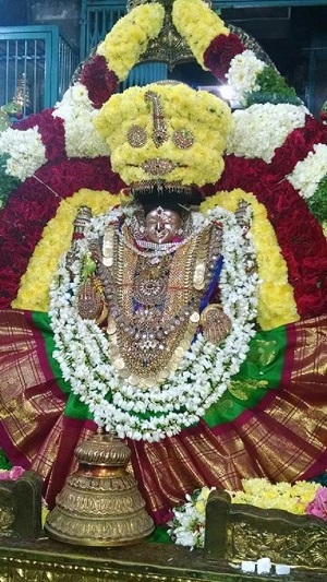 Thiruvahindrapuram Sri Hemambhujavalli Thayar Thiruadhyayana Utsavam Satrumurai3