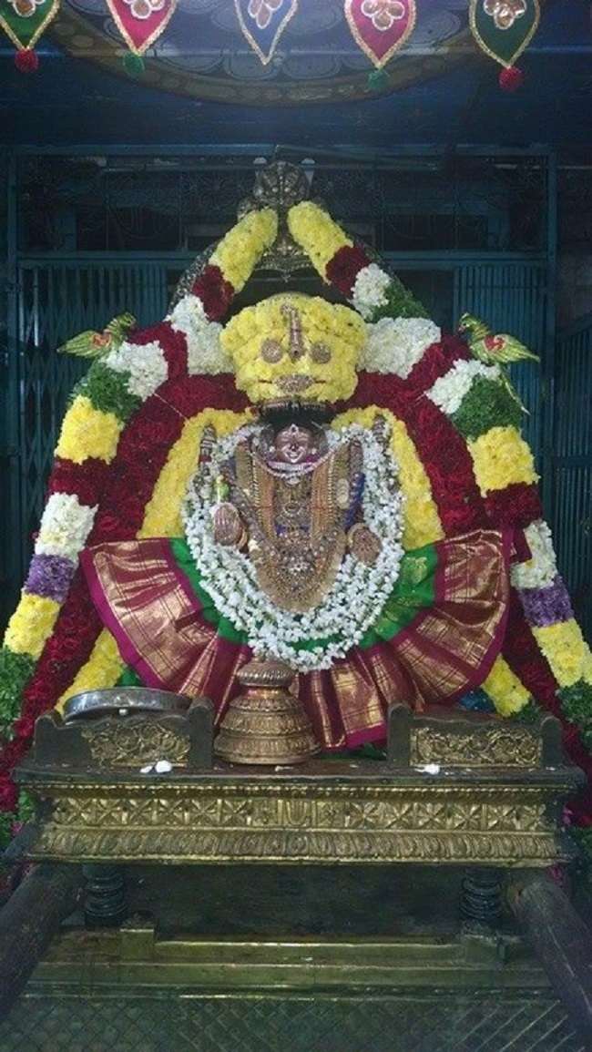 Thiruvahindrapuram Sri Hemambhujavalli Thayar Thiruadhyayana Utsavam Satrumurai4