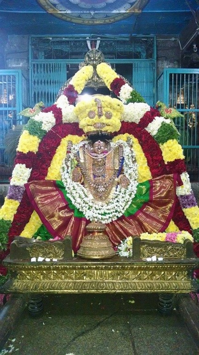Thiruvahindrapuram Sri Hemambhujavalli Thayar Thiruadhyayana Utsavam Satrumurai5